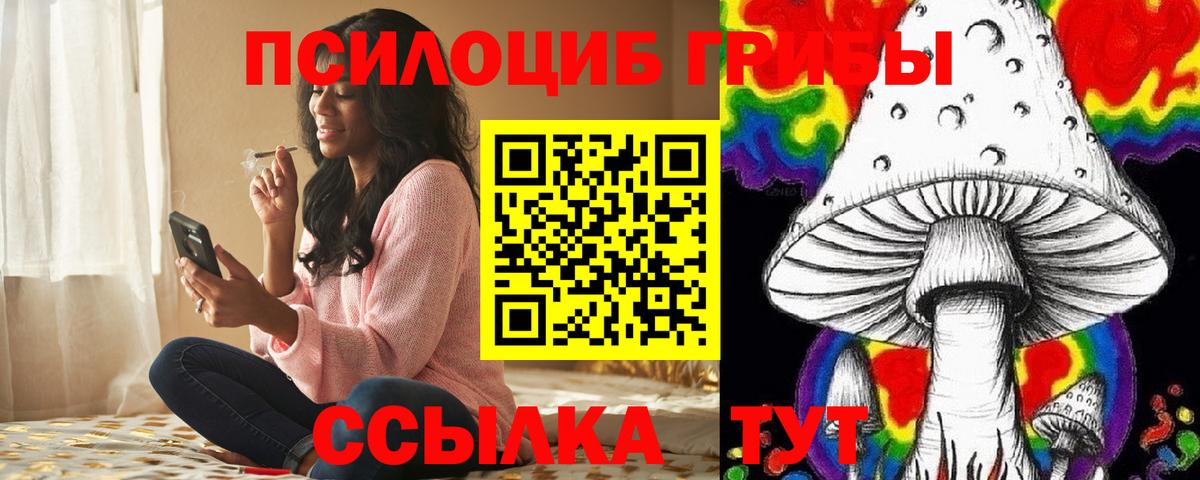 Псилоцибиновые грибы мухоморы Камень-на-Оби