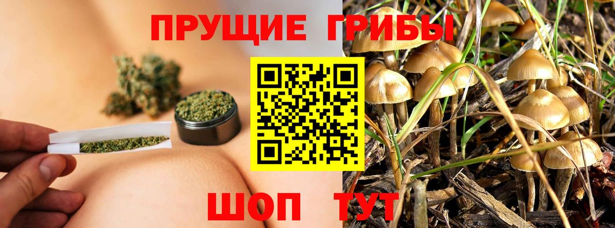 магазин продажи   Псилоцибиновые грибы MAGIC MUSHROOMS  Вход с VPN  Камень-на-Оби 